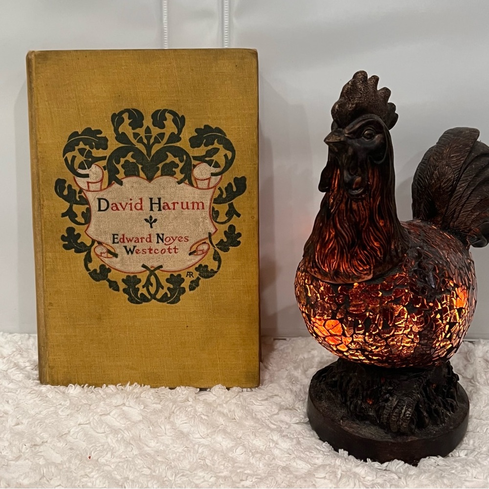 Copyright 1898 First Edition David Harum Hardcover